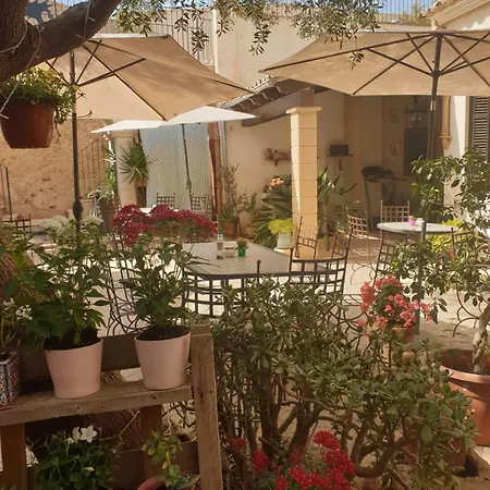 Hotel Segles 4*